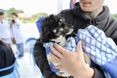 Prefeitura-de-Criciuma-realiza-mutirao-de-castracao-e-beneficia-mais-de-200-animais-3